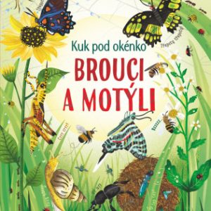 Kuk pod okénko - Brouci a motýli