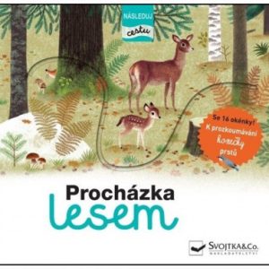 Procházka lesem - následuj cestu