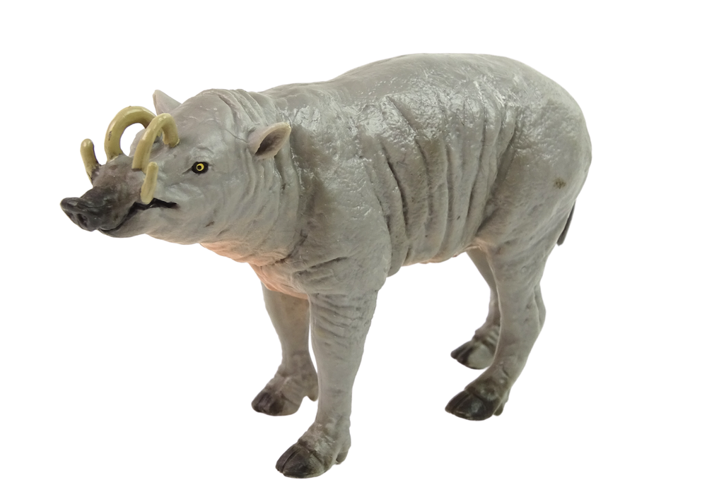 Figurka prasete Babirussa - Obrázek 2