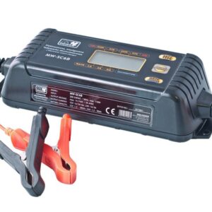 Inteligentní nabíječka gelových a olověných baterií 12V / 24V