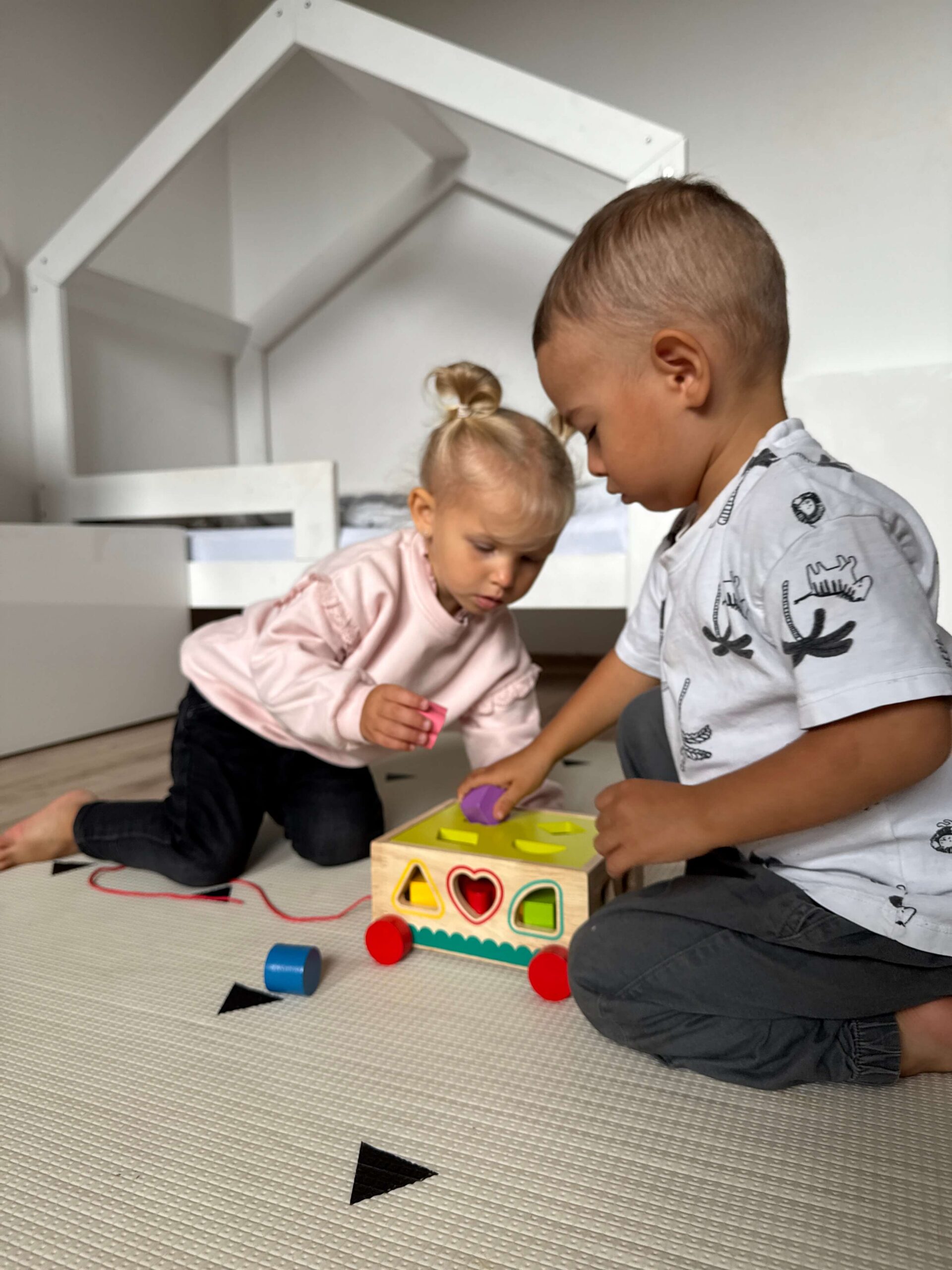 Mamido Dřevěná vzdělávací vkládačka 15ks – Objevuj barvy a tvary Montessori - Obrázek 2