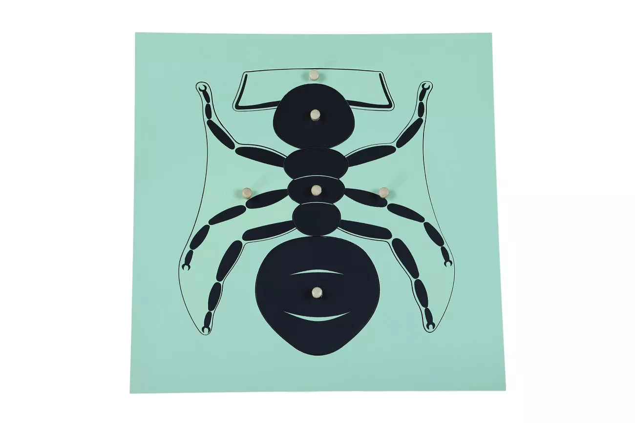 Moyo Montessori Moyo Montessori Puzzle - mravenec