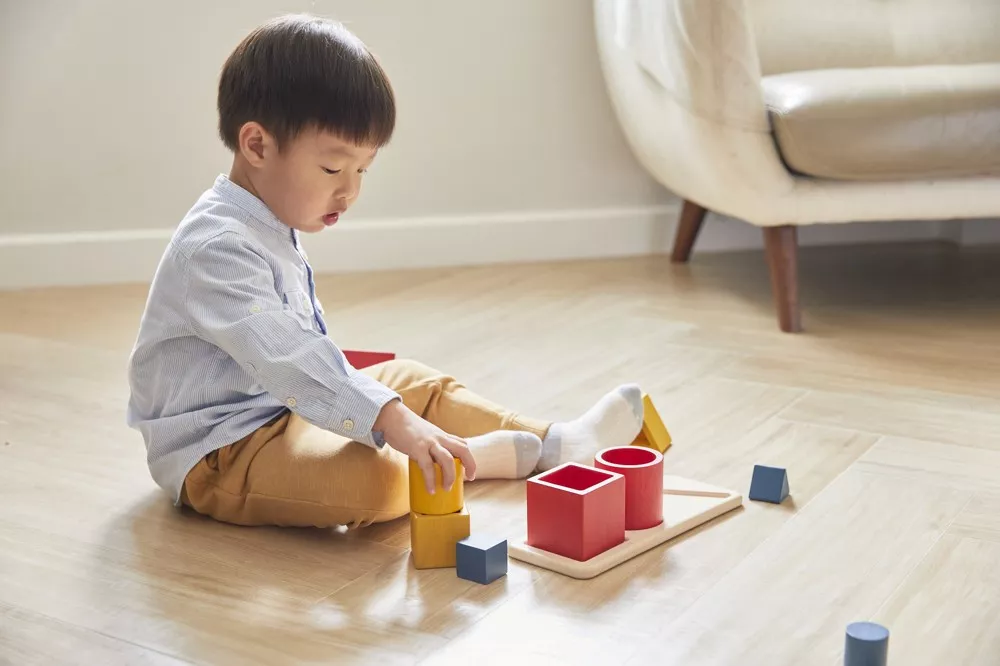PlanToys PlanToys Geometrické tvary - vkládačka - Obrázek 2