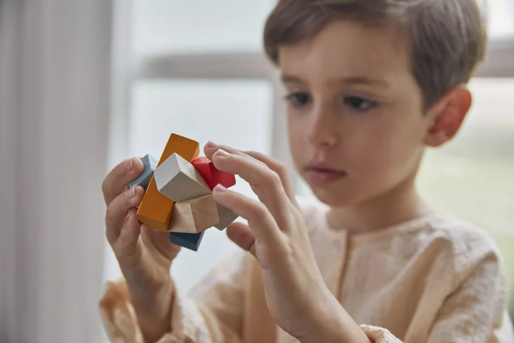 PlanToys PlanToys Logické puzzle - obdélníky - Obrázek 2