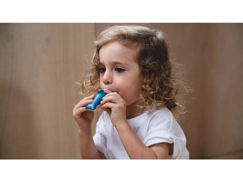 PlanToys PlanToys Píšťalka - delfín - Obrázek 2