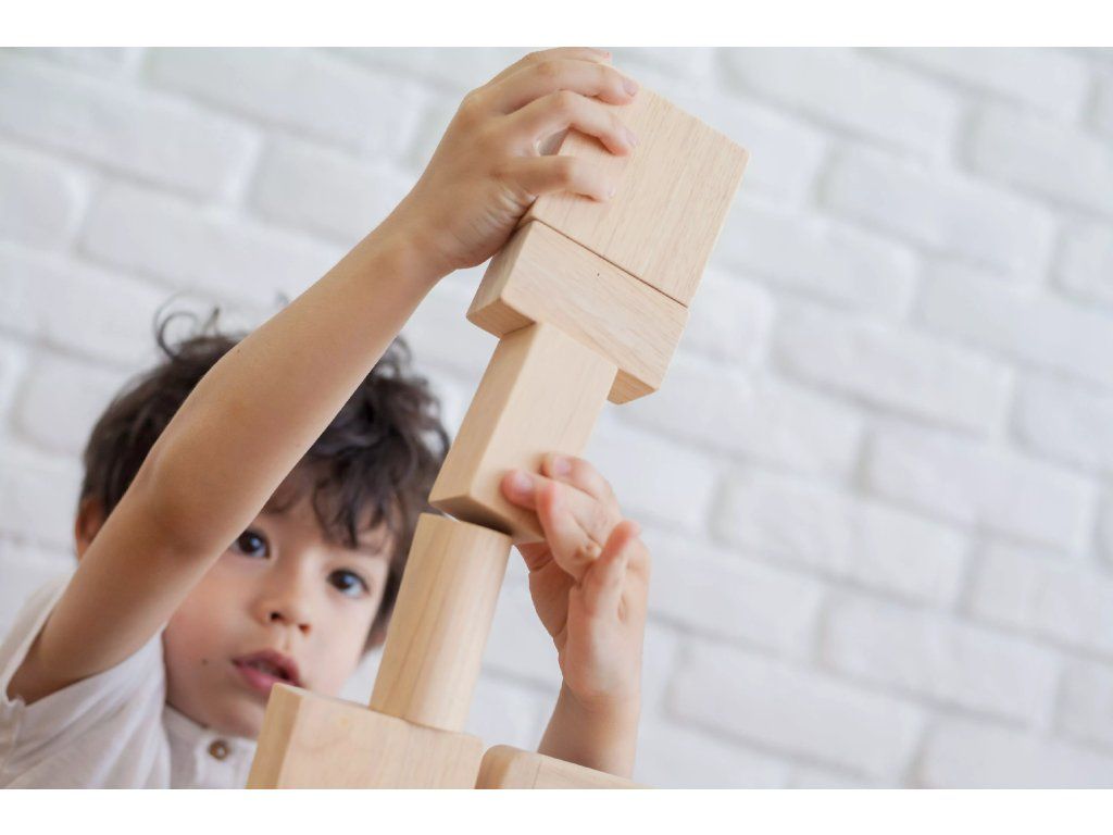 PlanToys PlanToys Přírodní stavebnice (50 ks) - Obrázek 2