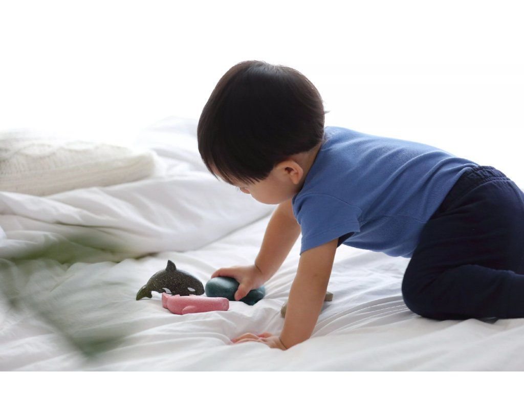 PlanToys PlanToys Set - Mořská zvířata - Obrázek 2