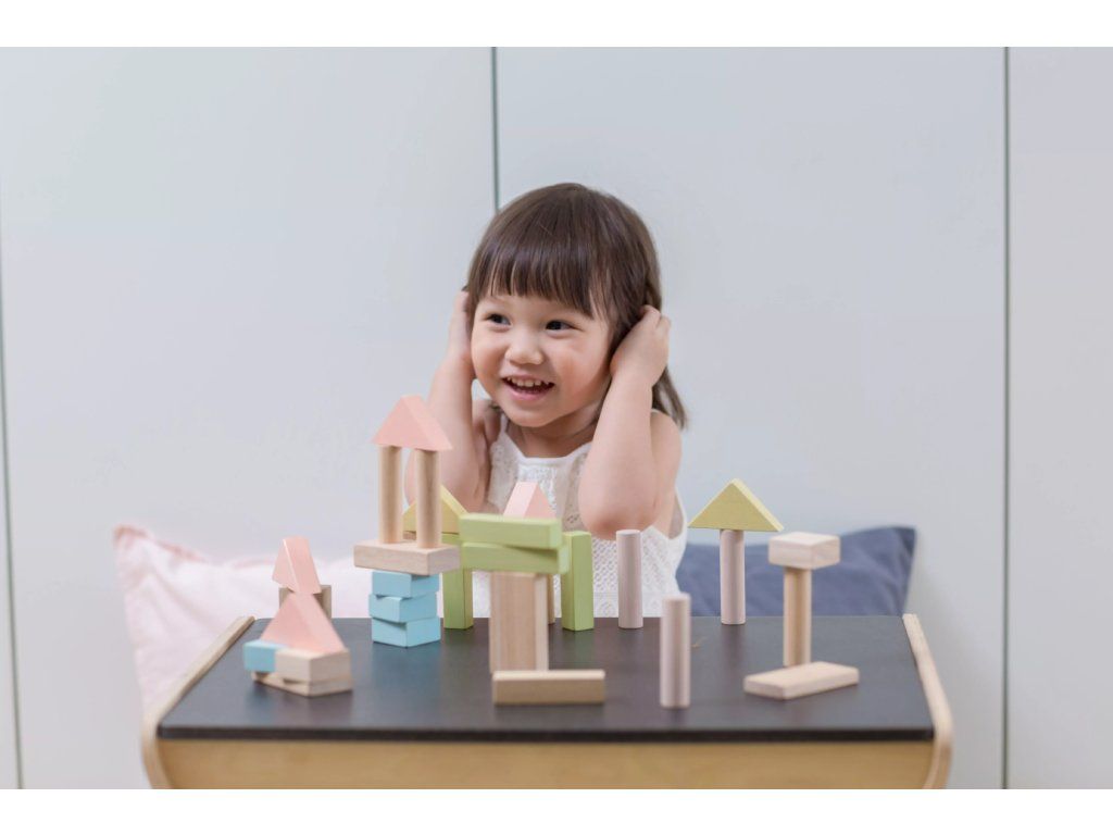 PlanToys PlanToys Stavební kostky 40 ks (pastelové) - Obrázek 2