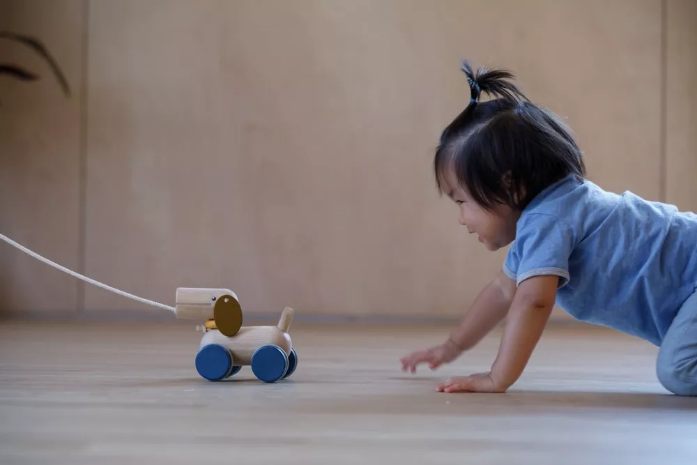 PlanToys PlanToys Tahací a strkací štěně - Obrázek 2