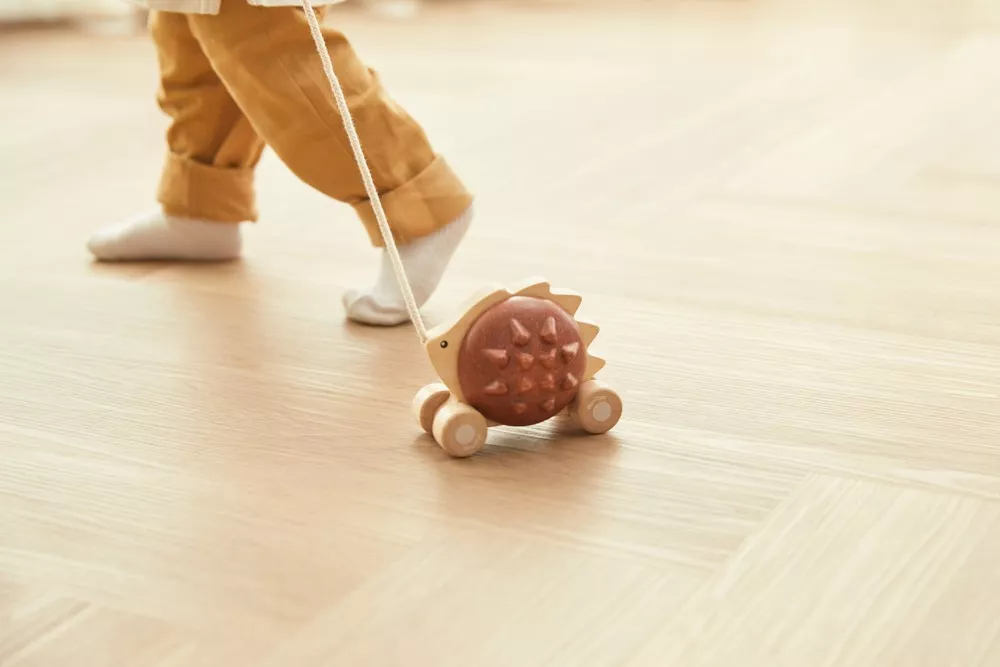 PlanToys PlanToys Tahací ježek - hnědý - Obrázek 2
