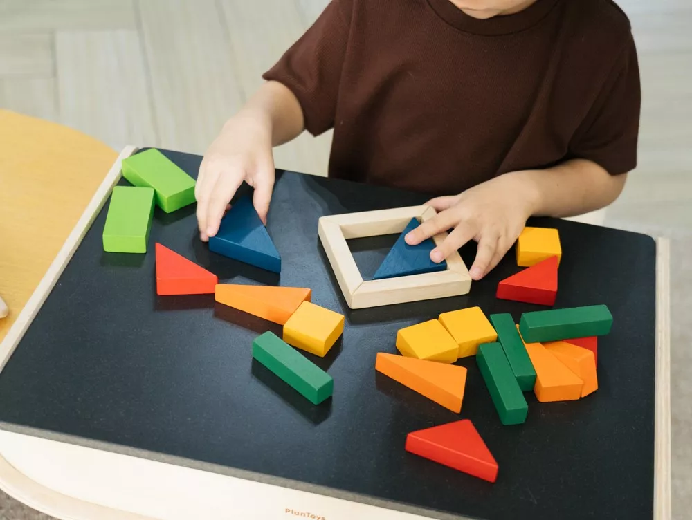 PlanToys PlanToys Zlomkové kostky - Obrázek 2