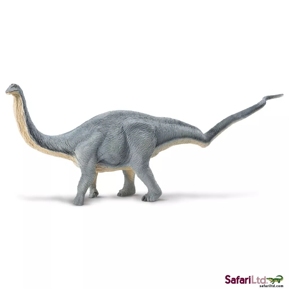 Safari Ltd. Safari Ltd. Apatosaurus - Obrázek 2