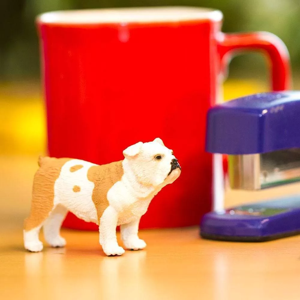 Safari Ltd. Safari Ltd. Bulldog - Obrázek 2