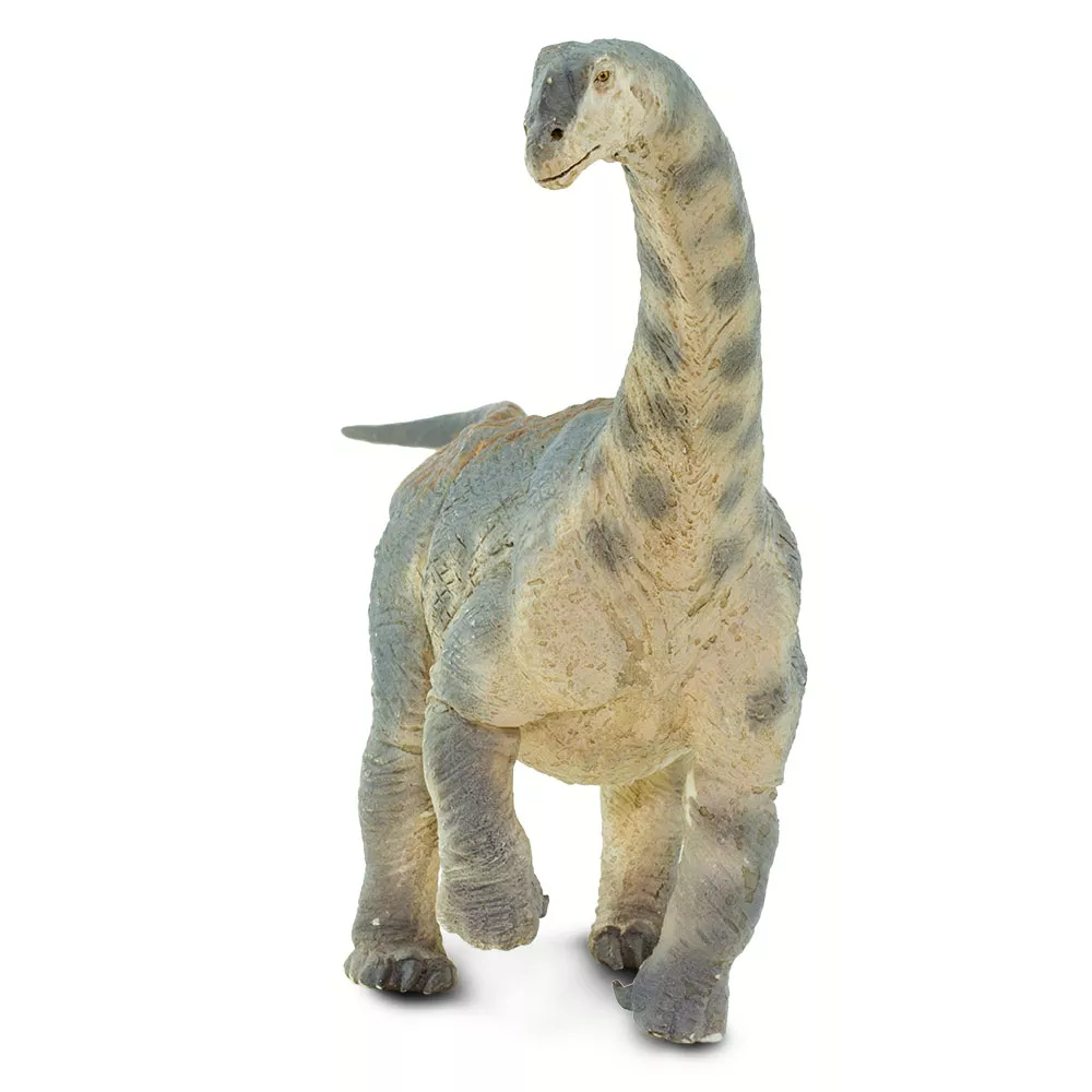 Safari Ltd. Safari Ltd. Figurka - Camarasaurus - Obrázek 2