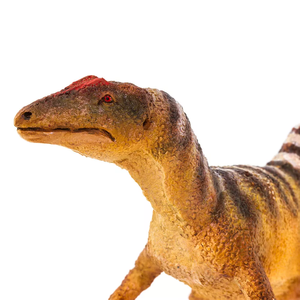 Safari Ltd. Safari Ltd. Figurka - Concavenator - Obrázek 2