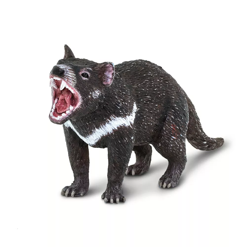 Safari Ltd. Safari Ltd. Figurka - Ďábel medvědovitý - Obrázek 2