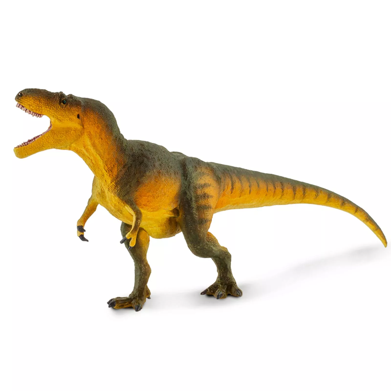 Safari Ltd. Safari Ltd. Figurka - Daspletosaurus - Obrázek 2