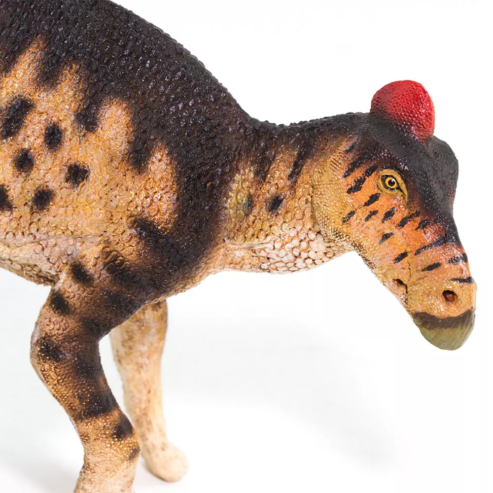 Safari Ltd. Safari Ltd. Figurka - Edmontosaurus - Obrázek 2