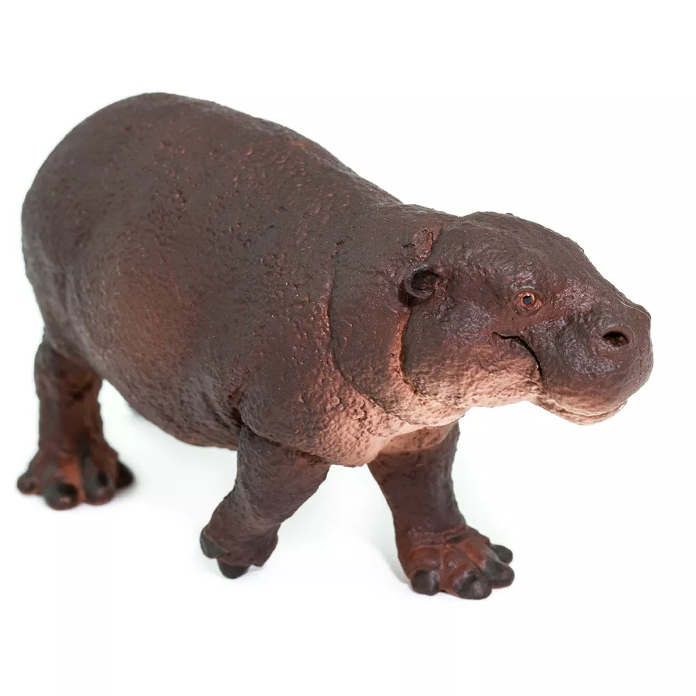 Safari Ltd. Safari Ltd. Figurka - Hrošík liberijský - Obrázek 2