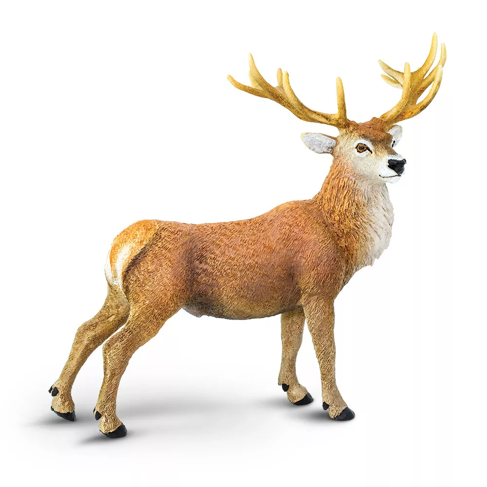 Safari Ltd. Safari Ltd. Figurka - Jelen lesní