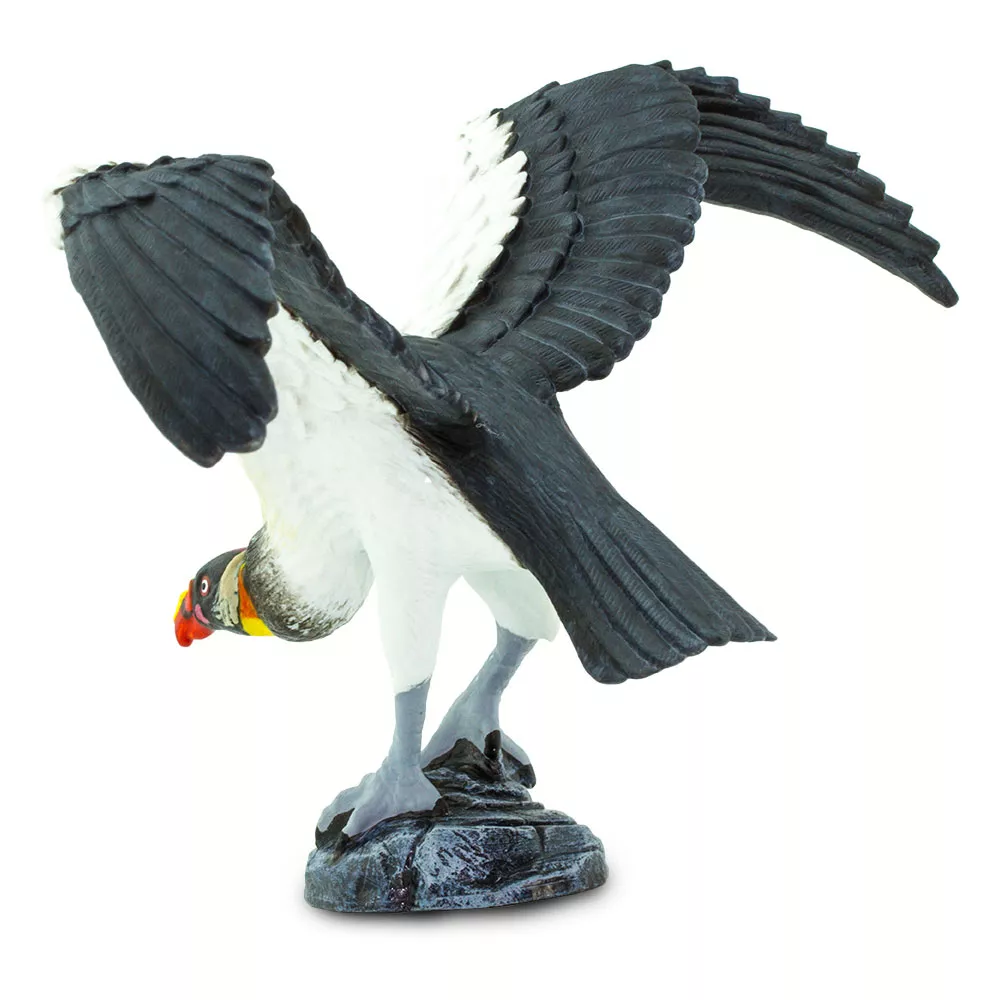 Safari Ltd. Safari Ltd. Figurka - Kondor královský - Obrázek 2