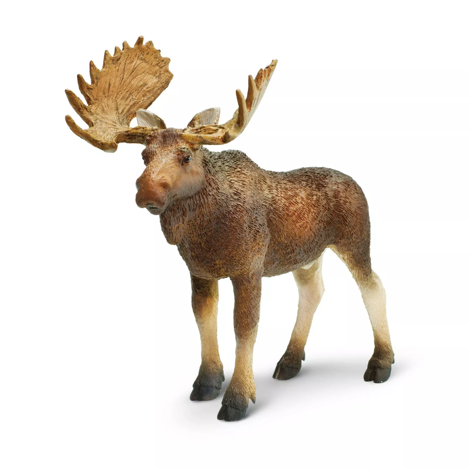Safari Ltd. Safari Ltd. Figurka - Los evropský - Obrázek 2