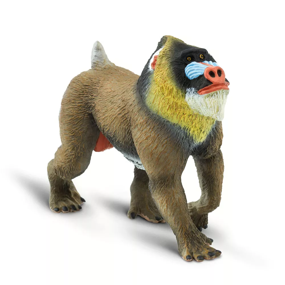 Safari Ltd. Safari Ltd. Figurka - Mandril rýholící - Obrázek 2