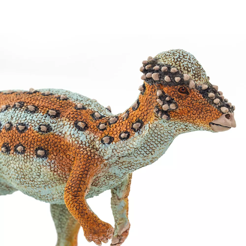 Safari Ltd. Safari Ltd. Figurka - Pachycephalosaurus - Obrázek 2