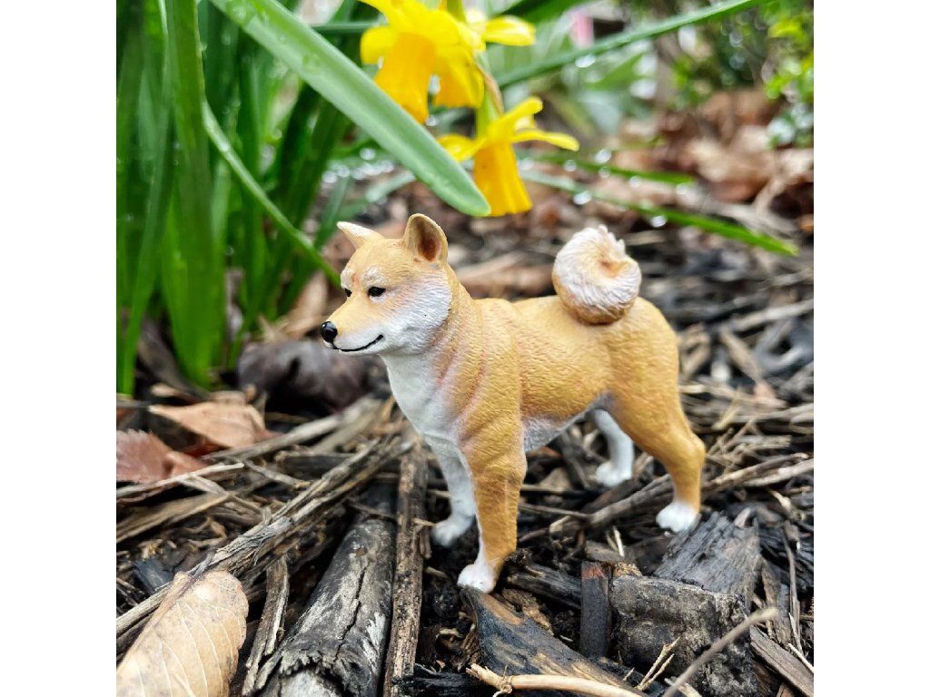 Safari Ltd. Safari Ltd. Figurka - Shiba Inu - Obrázek 2