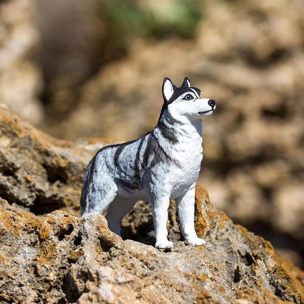 Safari Ltd. Safari Ltd. Figurka - Sibiřský husky - Obrázek 2