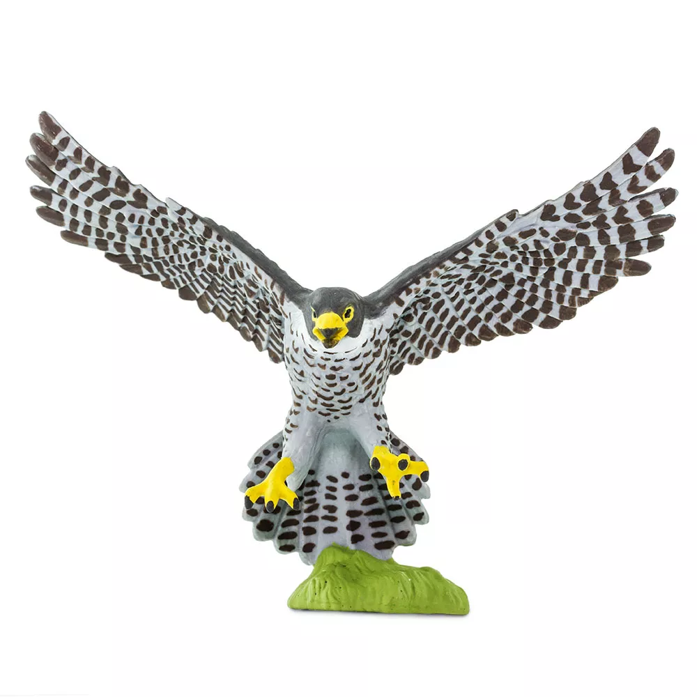 Safari Ltd. Safari Ltd. Figurka - Sokol stěhovavý - Obrázek 2
