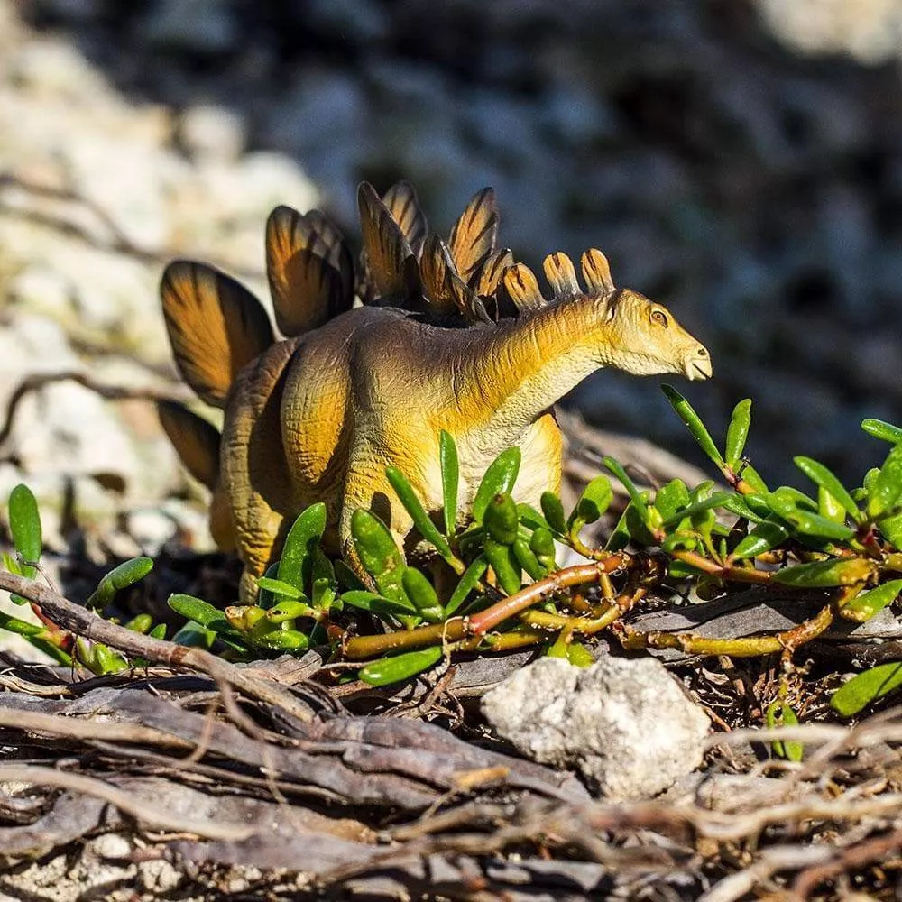 Safari Ltd. Safari Ltd. Figurka - Stegosaurus - Obrázek 2