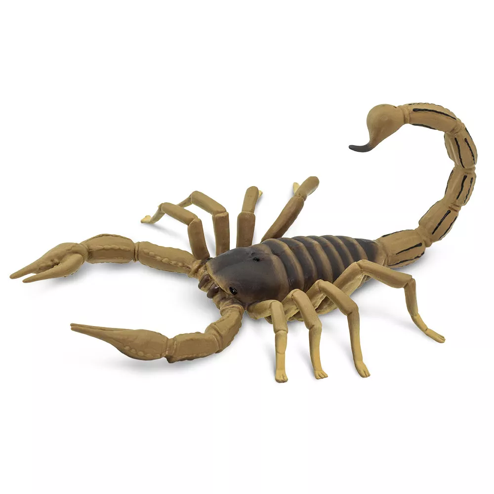 Safari Ltd. Safari Ltd. Figurka - Štír