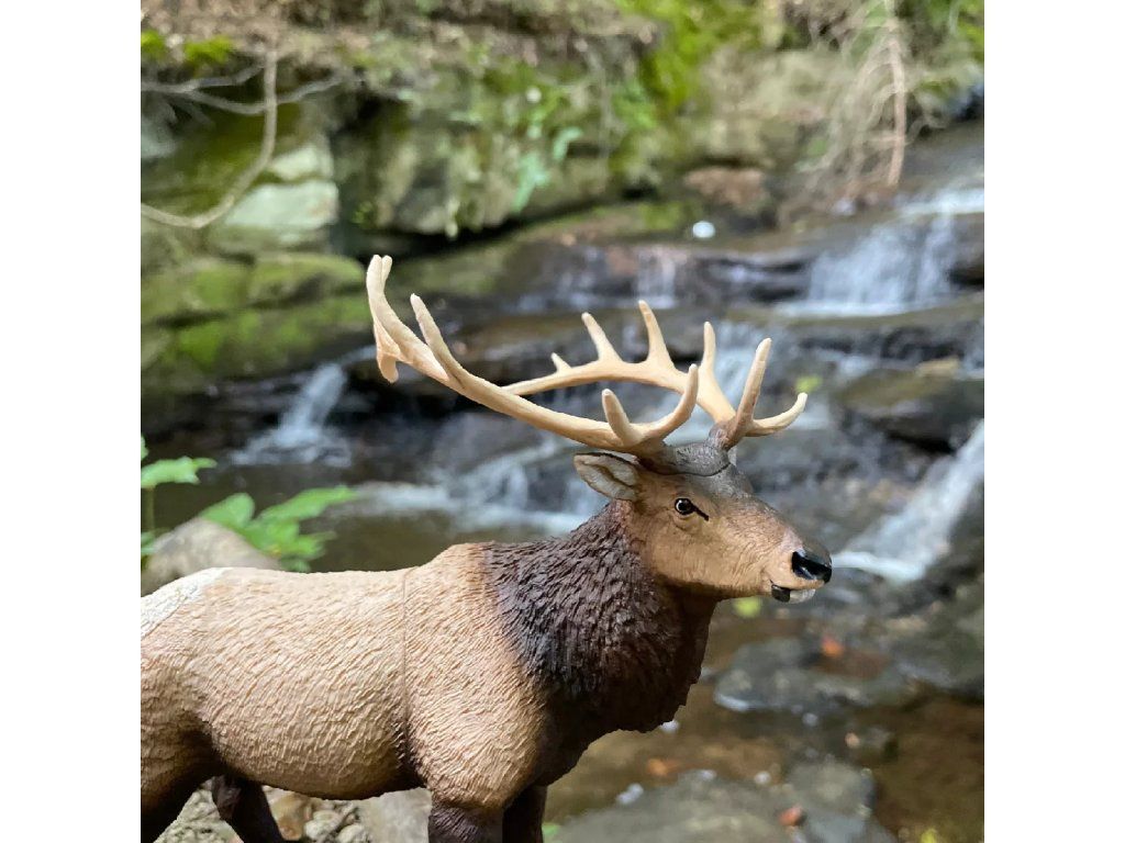 Safari Ltd. Safari Ltd. Figurka - Wapiti - Obrázek 2