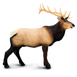 Safari Ltd. Safari Ltd. Figurka - Wapiti