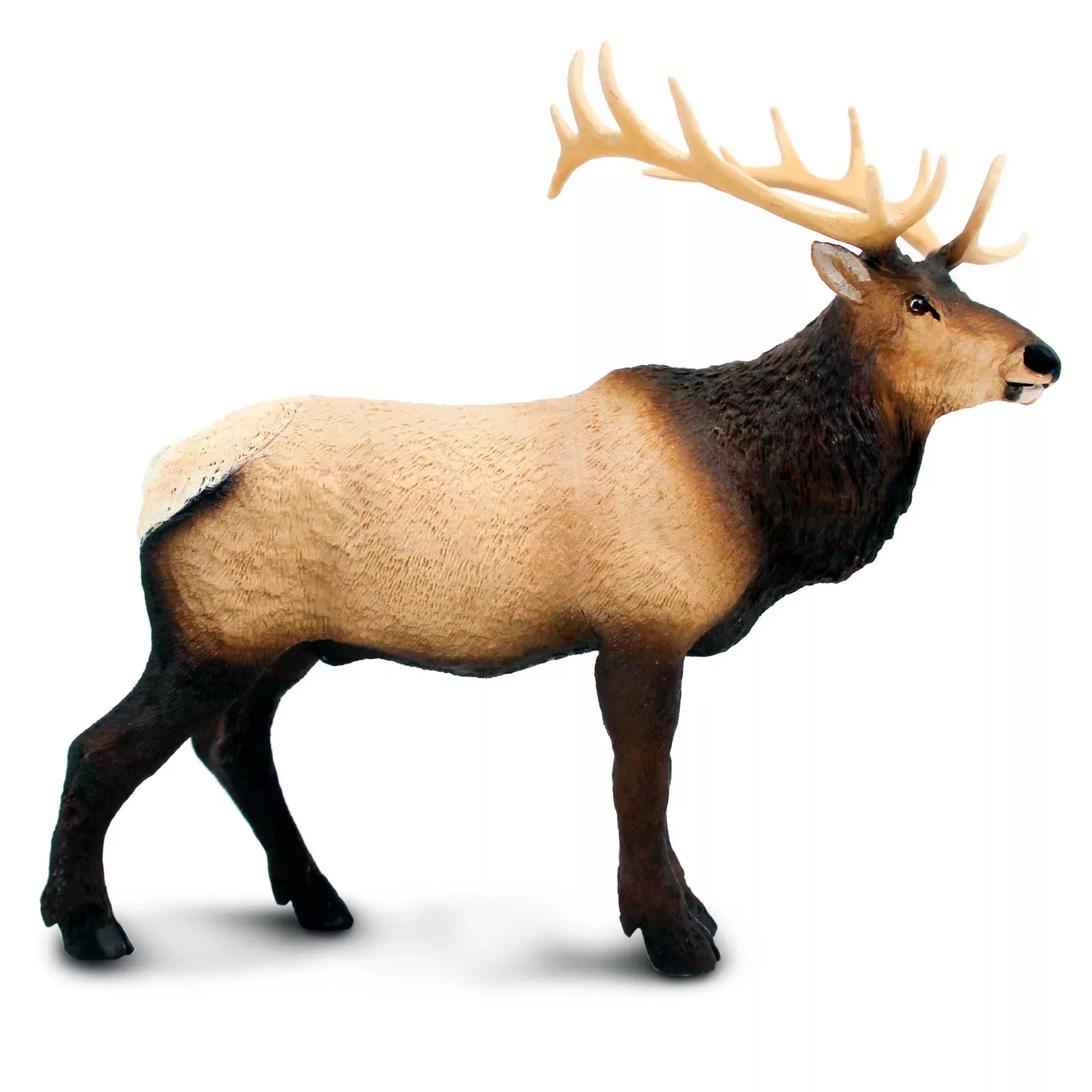 Safari Ltd. Safari Ltd. Figurka - Wapiti
