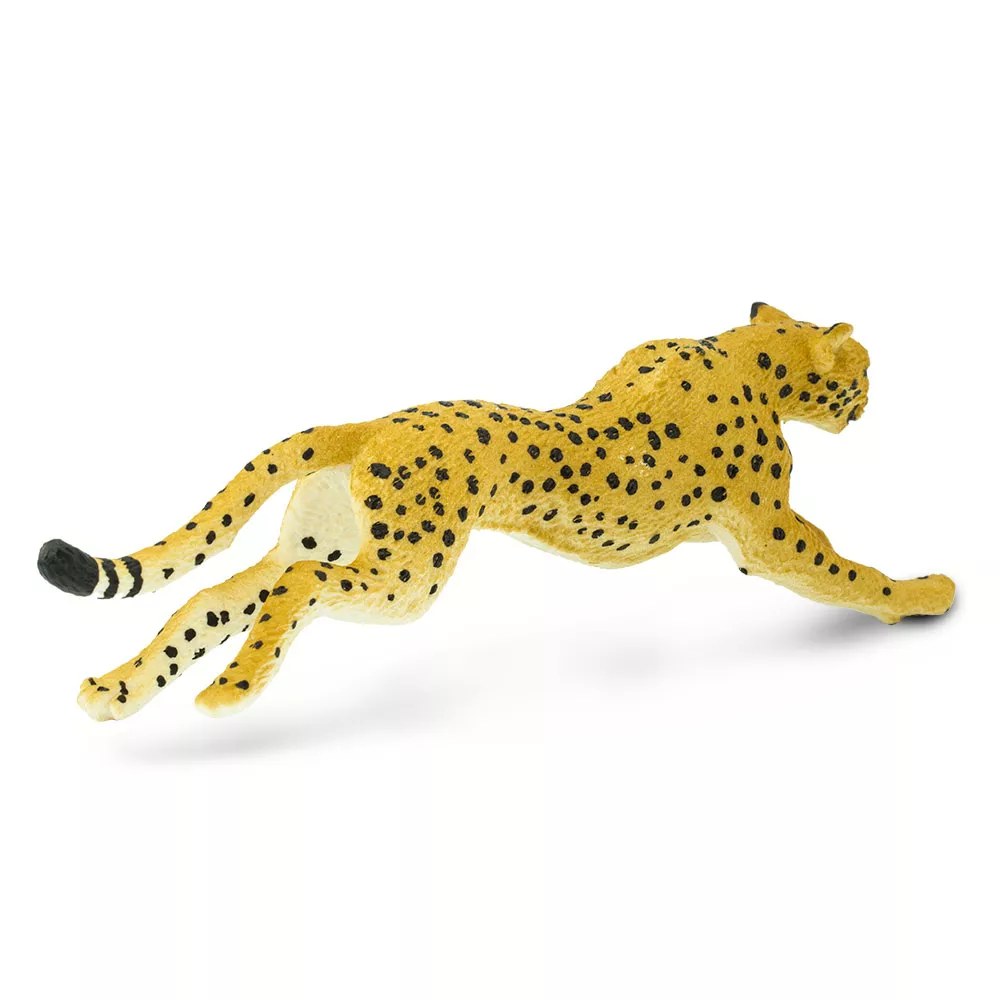Safari Ltd. Safari Ltd. Gepard - Obrázek 2