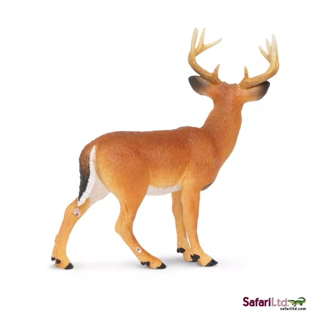 Safari Ltd. Safari Ltd. Jelen běloocasý - Obrázek 2