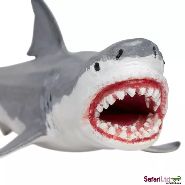 Safari Ltd. Safari Ltd. Megalodon - Obrázek 2