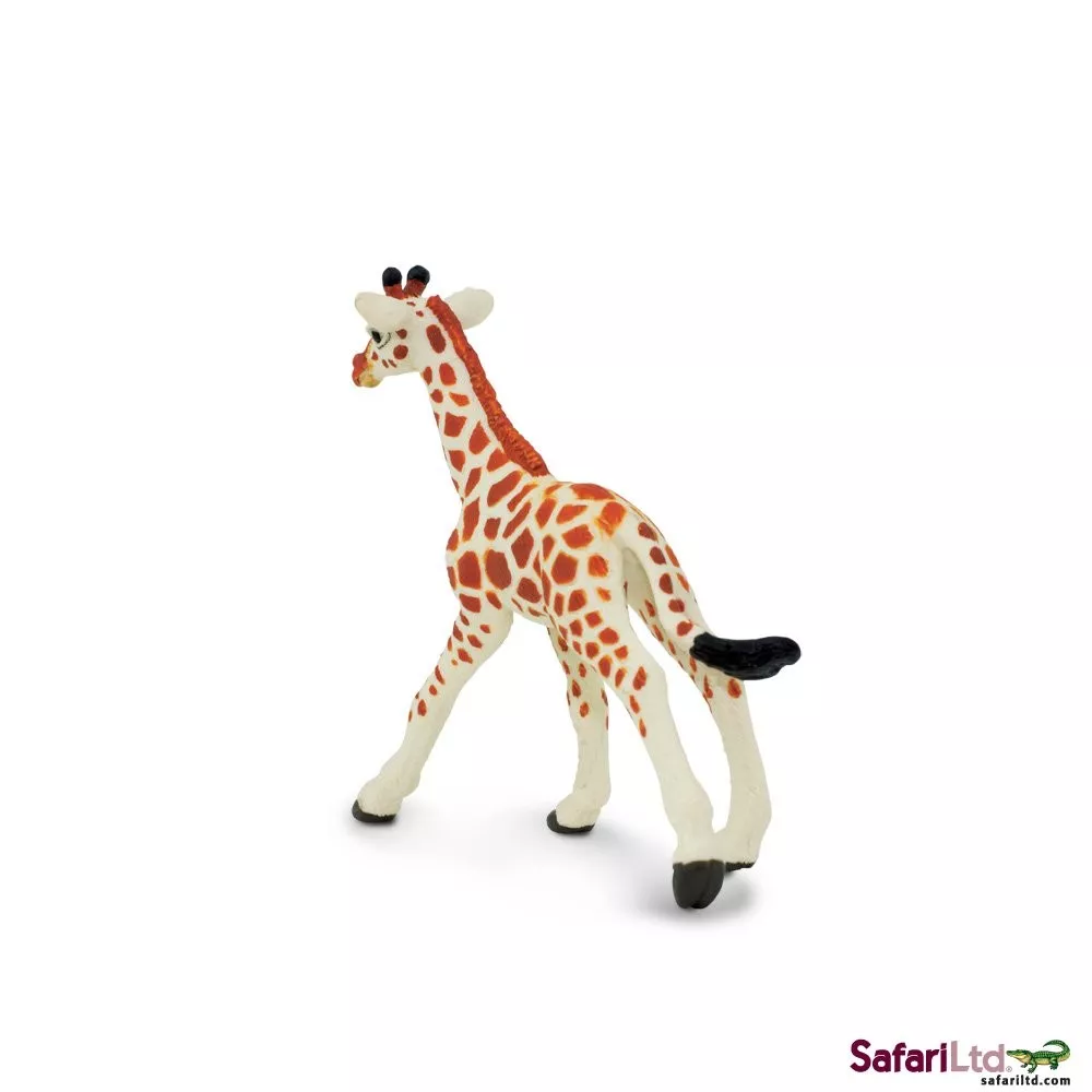 Safari Ltd. Safari Ltd. Mládě žirafy síťované - Obrázek 2