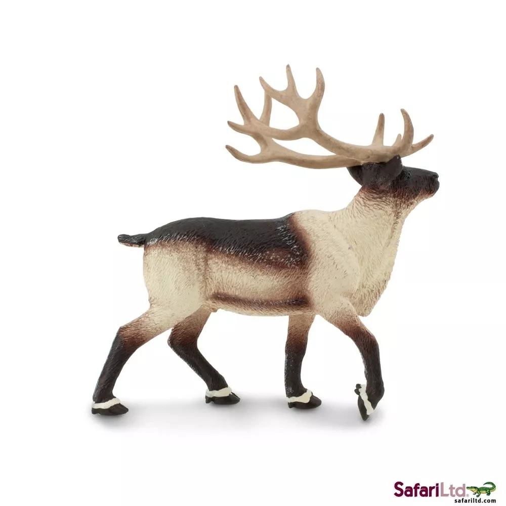 Safari Ltd. Safari Ltd. Sob - Obrázek 2