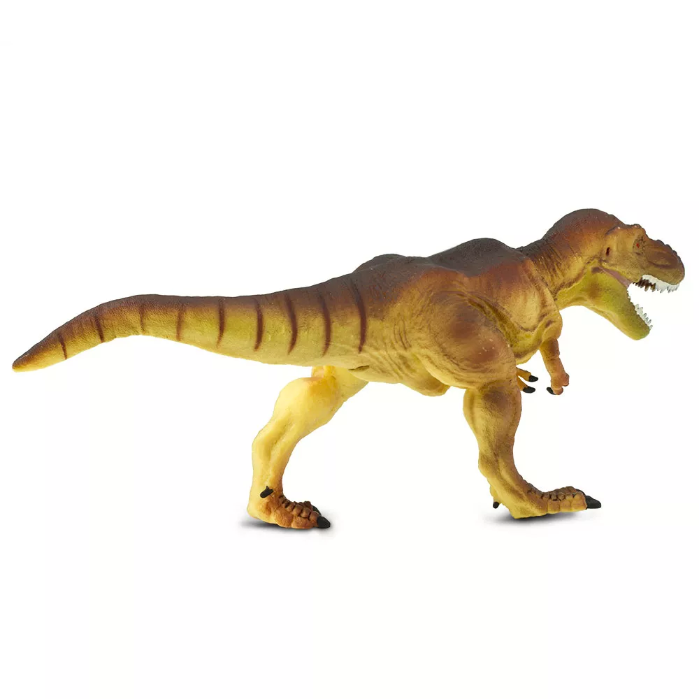Safari Ltd. Safari Ltd. Tyrannosaurus Rex - Obrázek 2