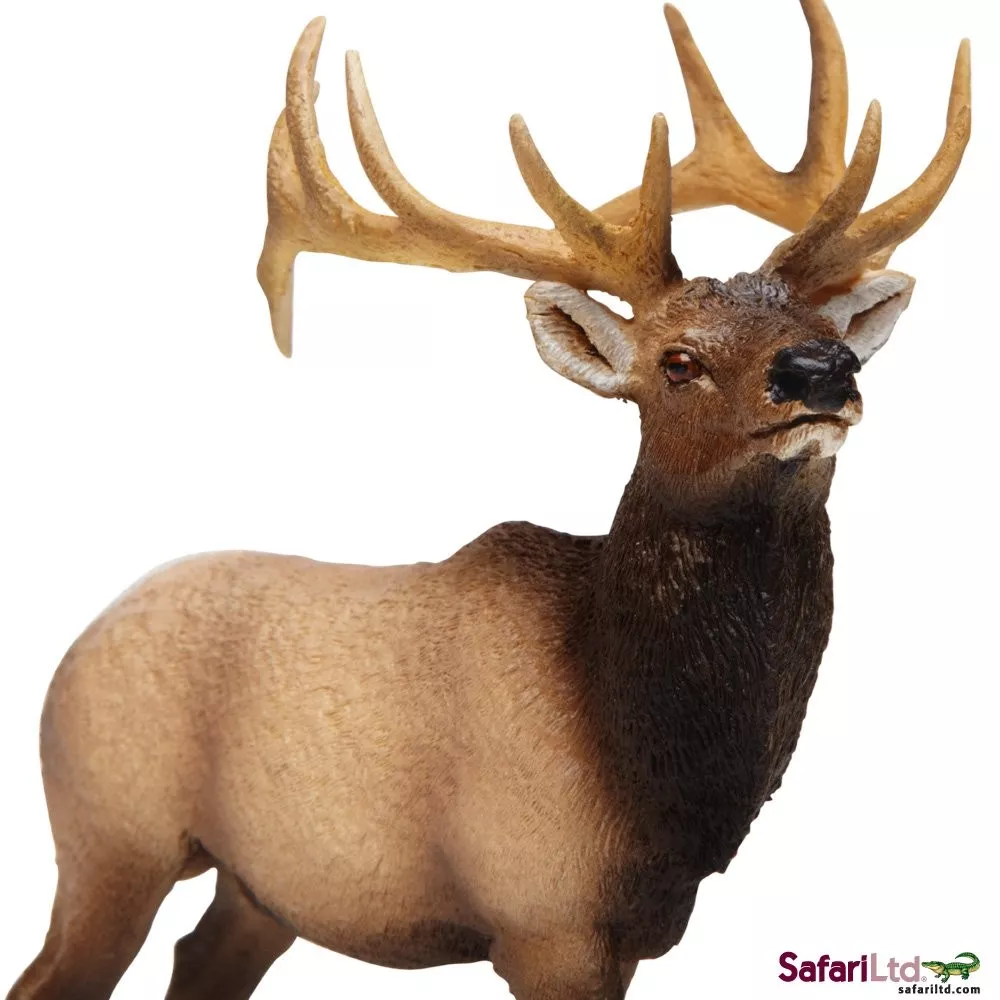Safari Ltd. Safari Ltd. Wapiti západní - Obrázek 2