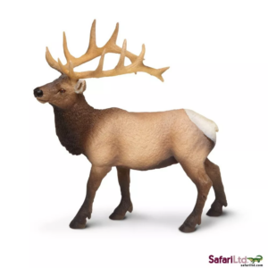 Safari Ltd. Safari Ltd. Wapiti západní