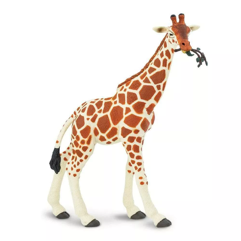 Safari Ltd. Safari Ltd. Žirafa síťovaná