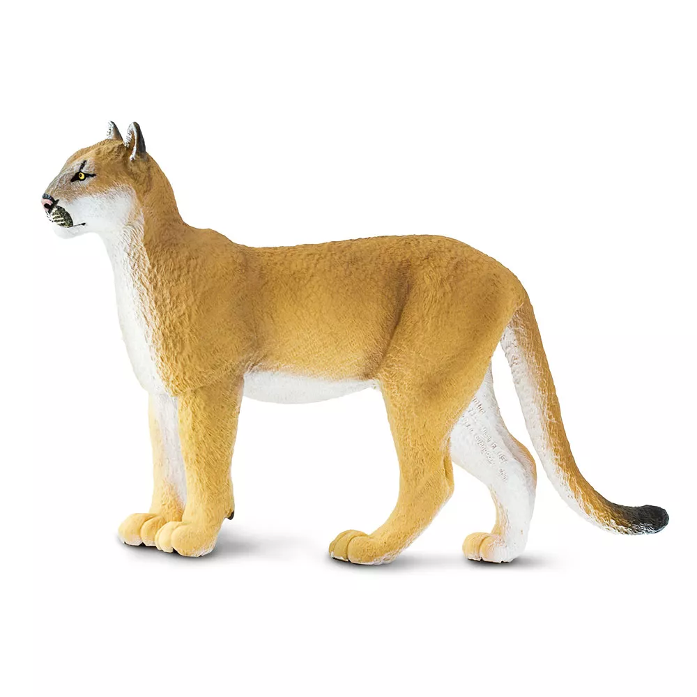 Safari Ltd. Safari Ltd. Figurka - Puma floridská - Obrázek 2