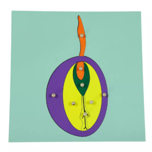 Moyo Montessori Moyo Montessori Puzzle - Semeno