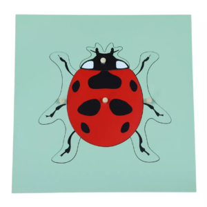 Moyo Montessori Moyo Montessori Puzzle - beruška