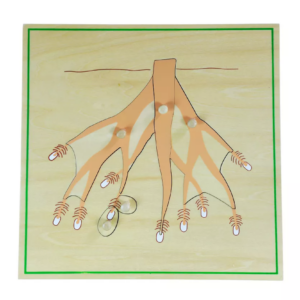 Moyo Montessori Moyo Montessori Puzzle - kořen