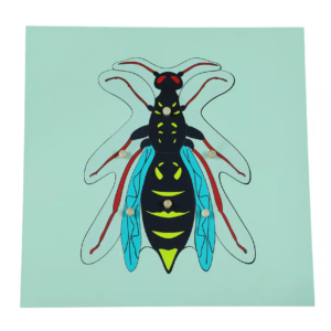 Moyo Montessori Moyo Montessori Puzzle - vosa